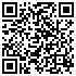 QR-Code Staubbeutel-Discount - Princess Y28Mic