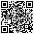 QR-Code Staubbeutel-Discount - DeSina Y28Mic