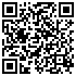 QR-Code Staubbeutel-Discount - Princess Y28Mic