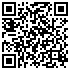 QR-Code Staubbeutel-Discount - Weltstar Y28/5Mic